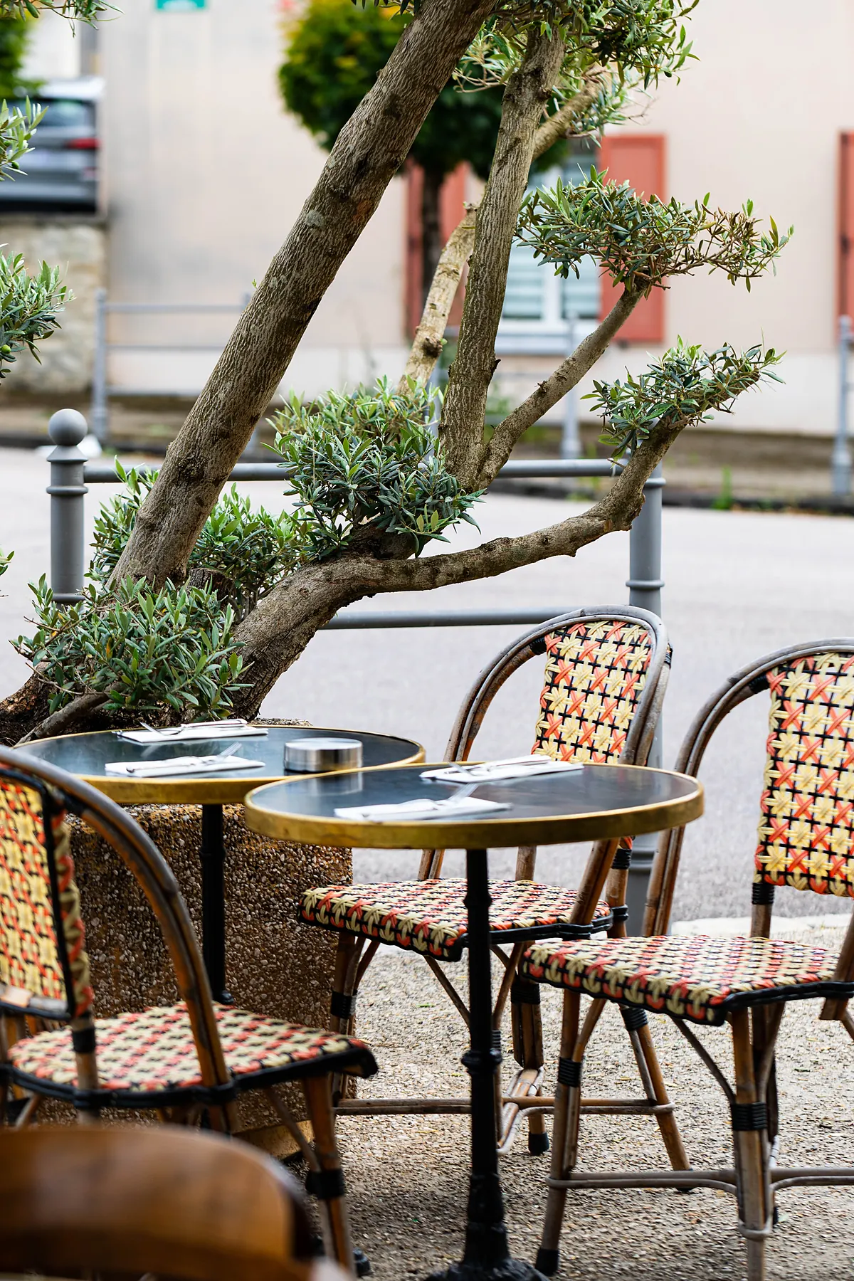 La terrasse, ses chaises en rotin et son olivier
